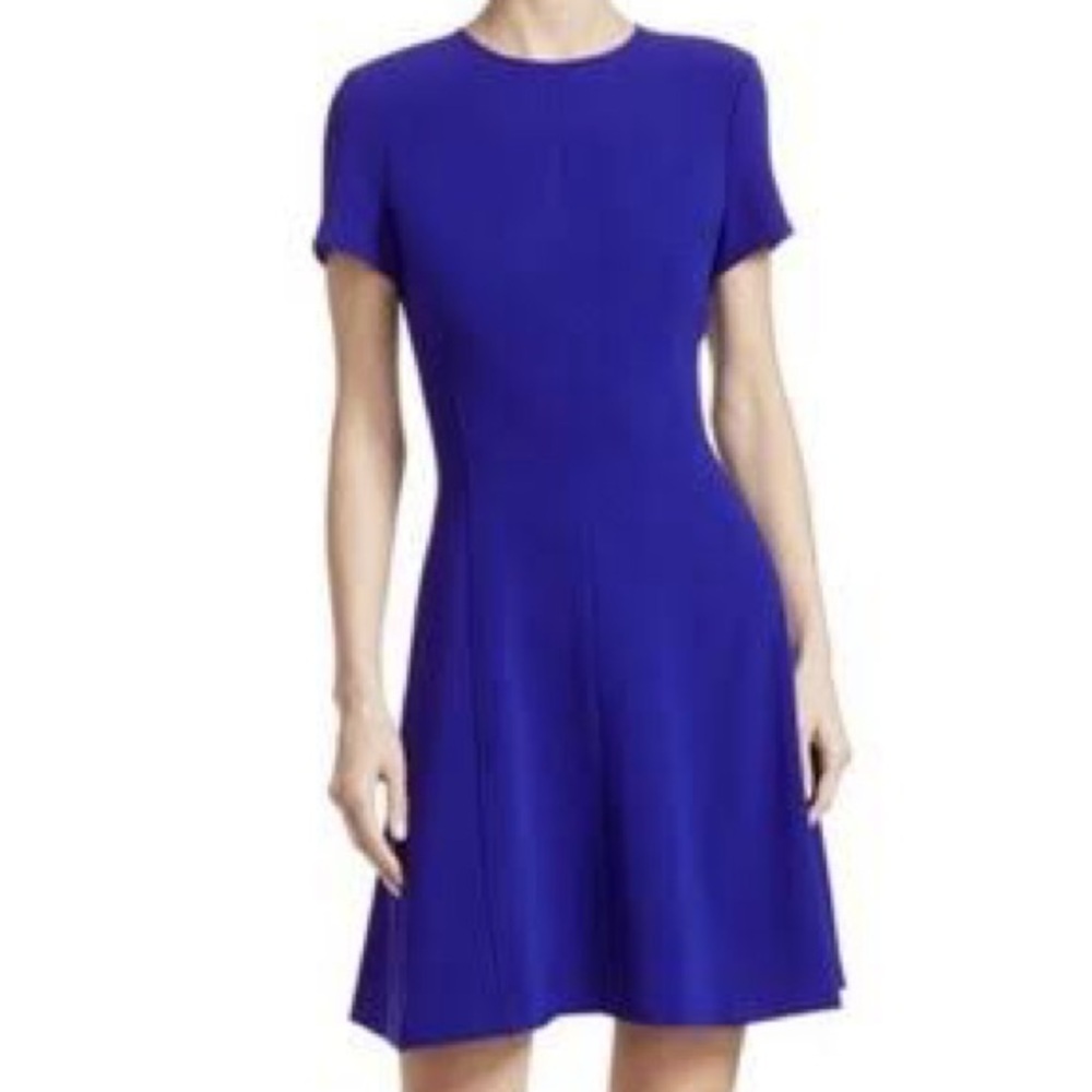 NWT Theory Corset Tee Dress Cosmic Blue